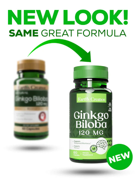 Ginkgo Biloba