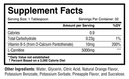 Protein + Carnitine Recovery 8000