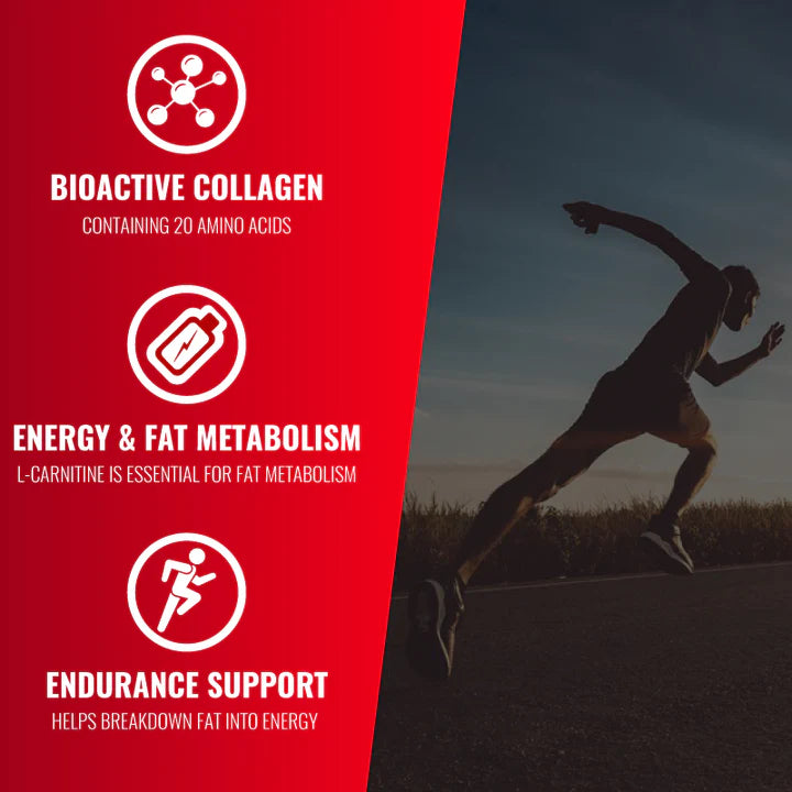 Protein + Carnitine Recovery 8000