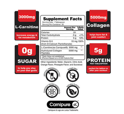 Protein + Carnitine Recovery 8000